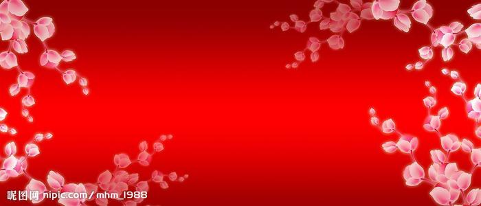 高中毕业证上的学籍号