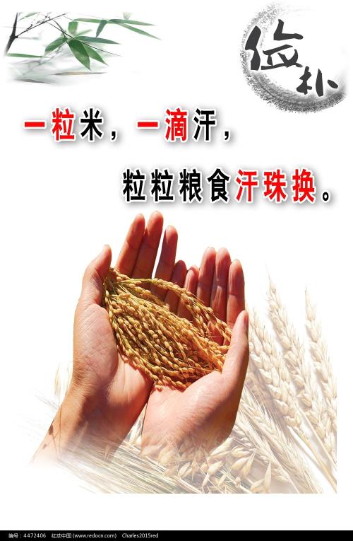 仿制史迪尔门学院文凭毕业证